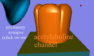 AchCh103