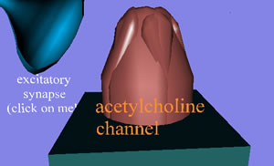 AchCh104