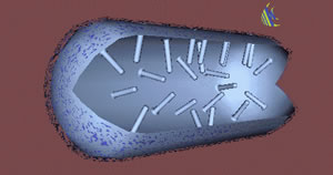 CelMitoh102