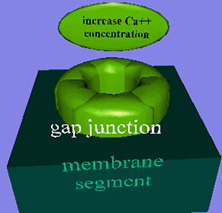GapJun101