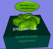 GapJun102