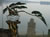 Beijing 2005