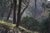 Jingshan park Beijing 2011
