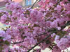 070415_2405_fs