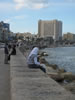 101208_095654_9916_fs