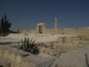 090606_165422_4791