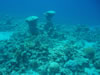 110515_1526040221_fs